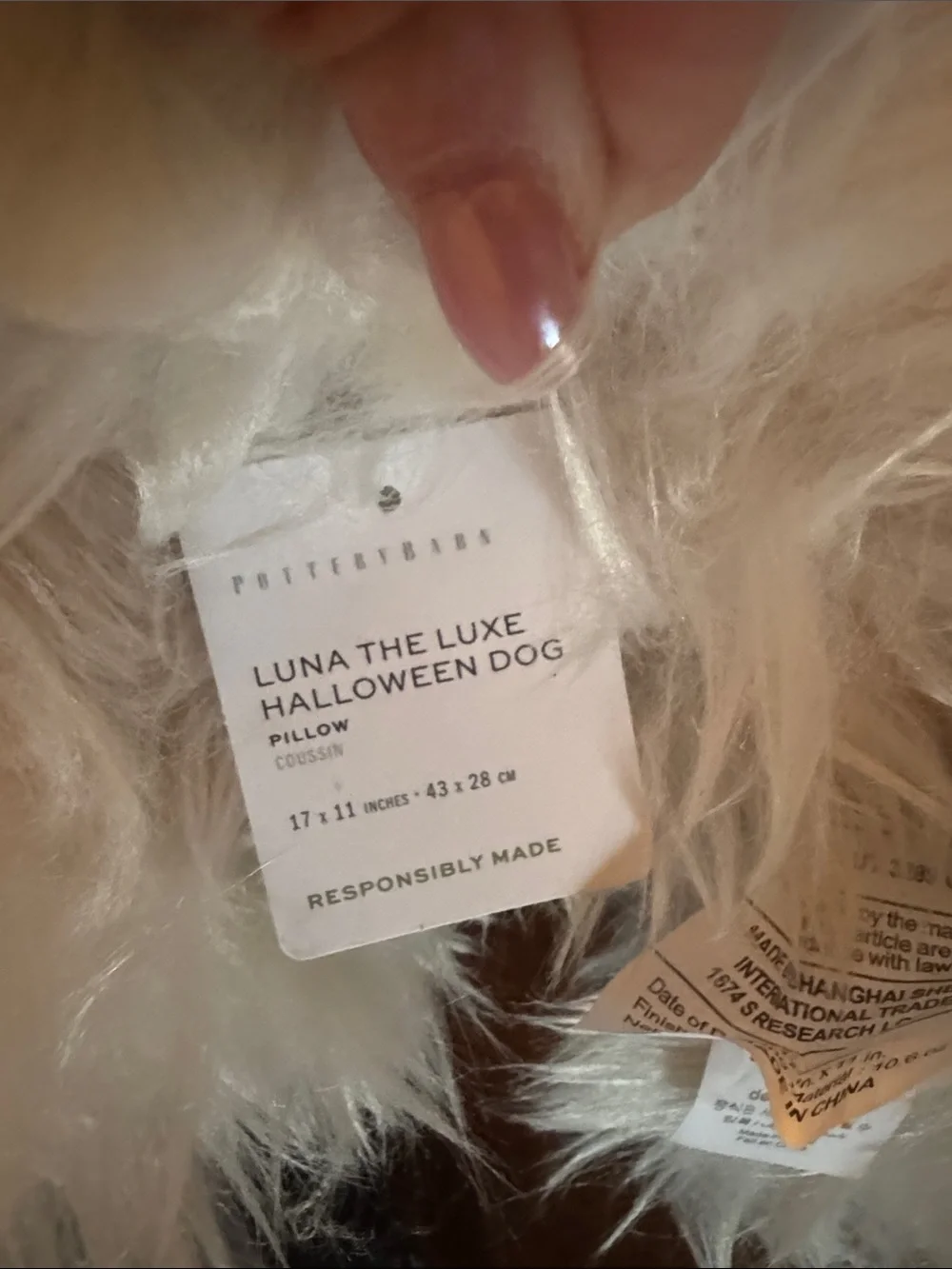Pottery Barn Winnie the Luxe Halloween Dog Pillow - NWT!